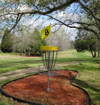 Nine-Hole Disc Golf